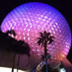 Meet your Posher, Terri lyn